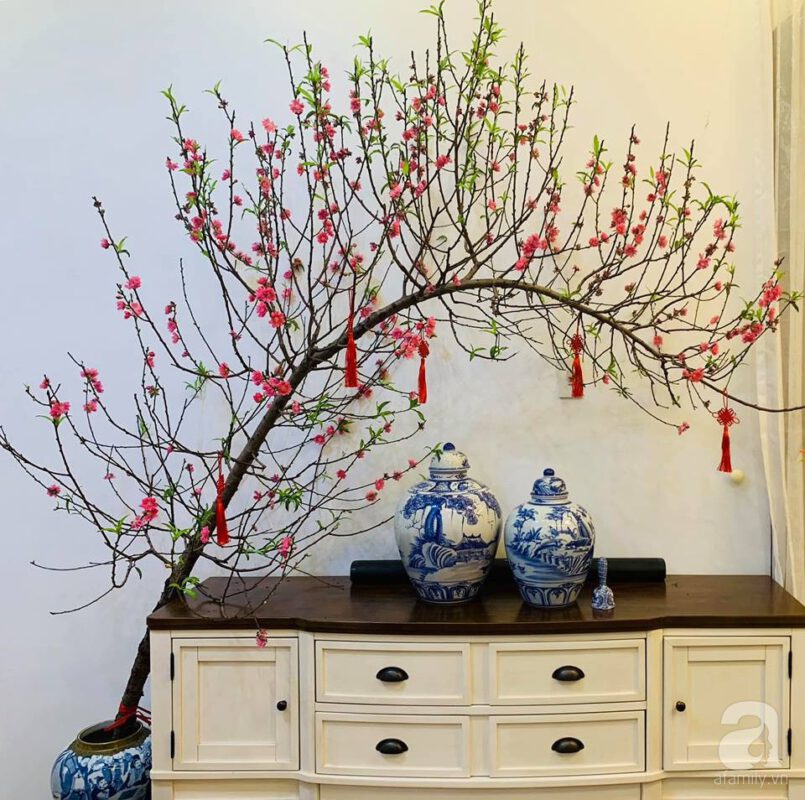 Điều chỉnh độ sáng - Cách làm cho cành đào nở hoa nhanh