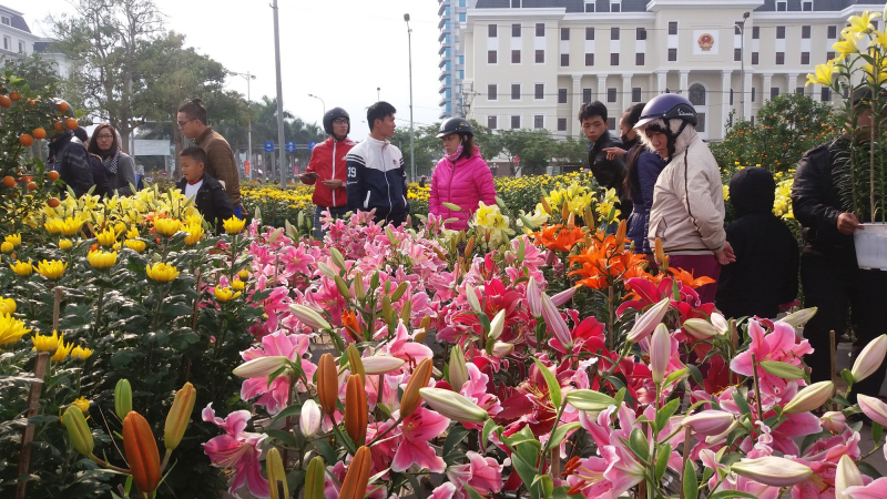 Chợ hoa ngày Tết